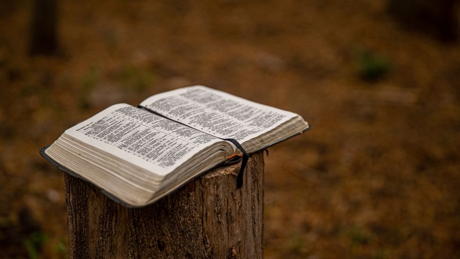 Where Should I Start Reading the Bible If I Have Never Read It Before?