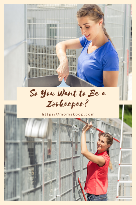 Zookeeper Career Path: Educational Requirements and Training
