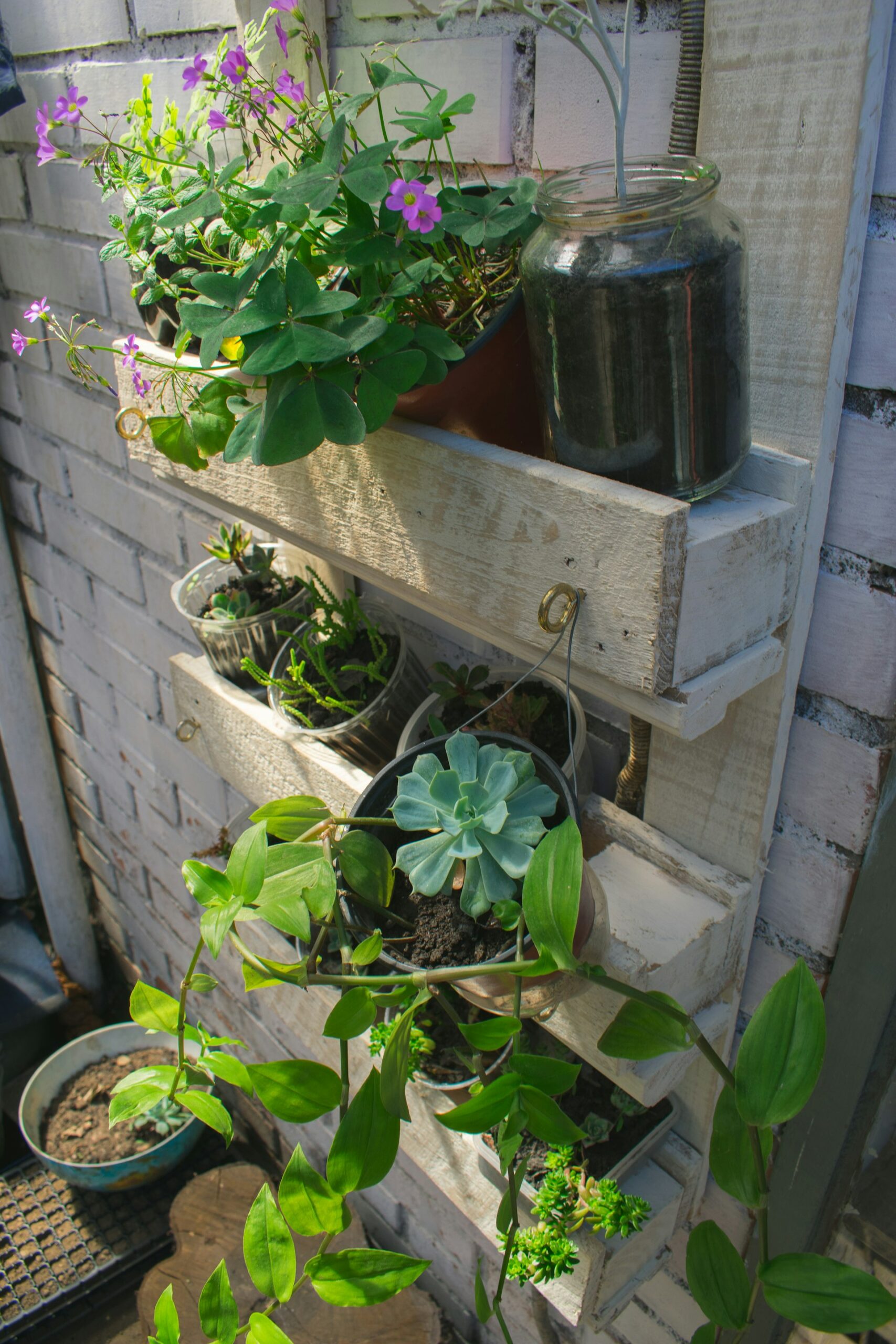 Maximize Your Harvest: Proven Strategies for Small Space Container Vegetable Gardening