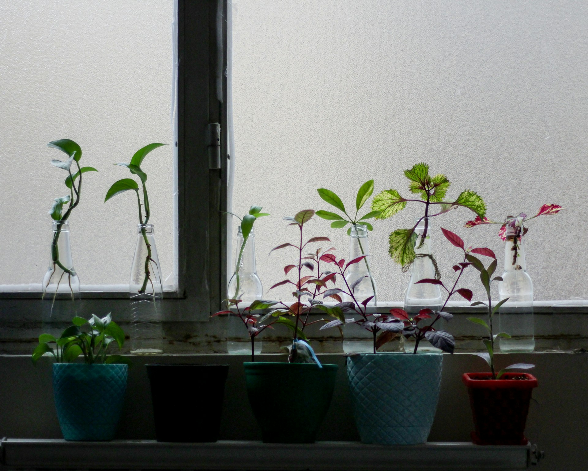 How to Create a Sustainable Indoor Herb Garden: Step-by-Step Guide for Lasting Results