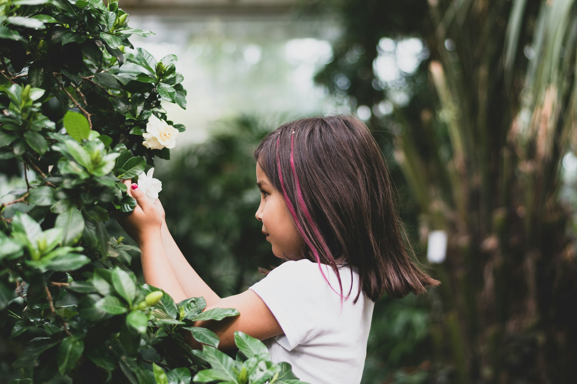 Creating a Safer Home: Expert Guidance on Child-Safe Indoor Plant Selections