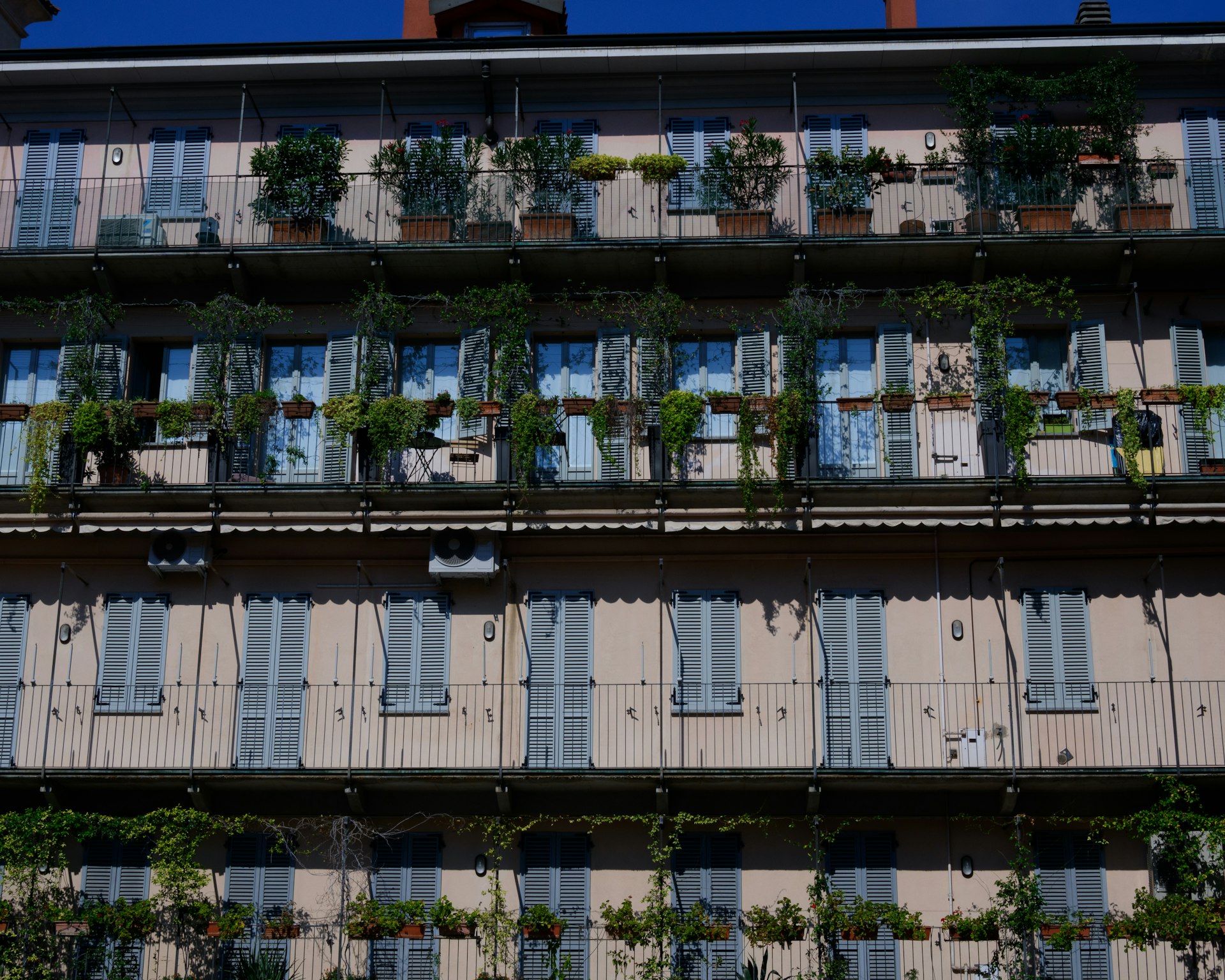 Transform Your Urban Balcony: Container Gardening Ideas for Lush City Living