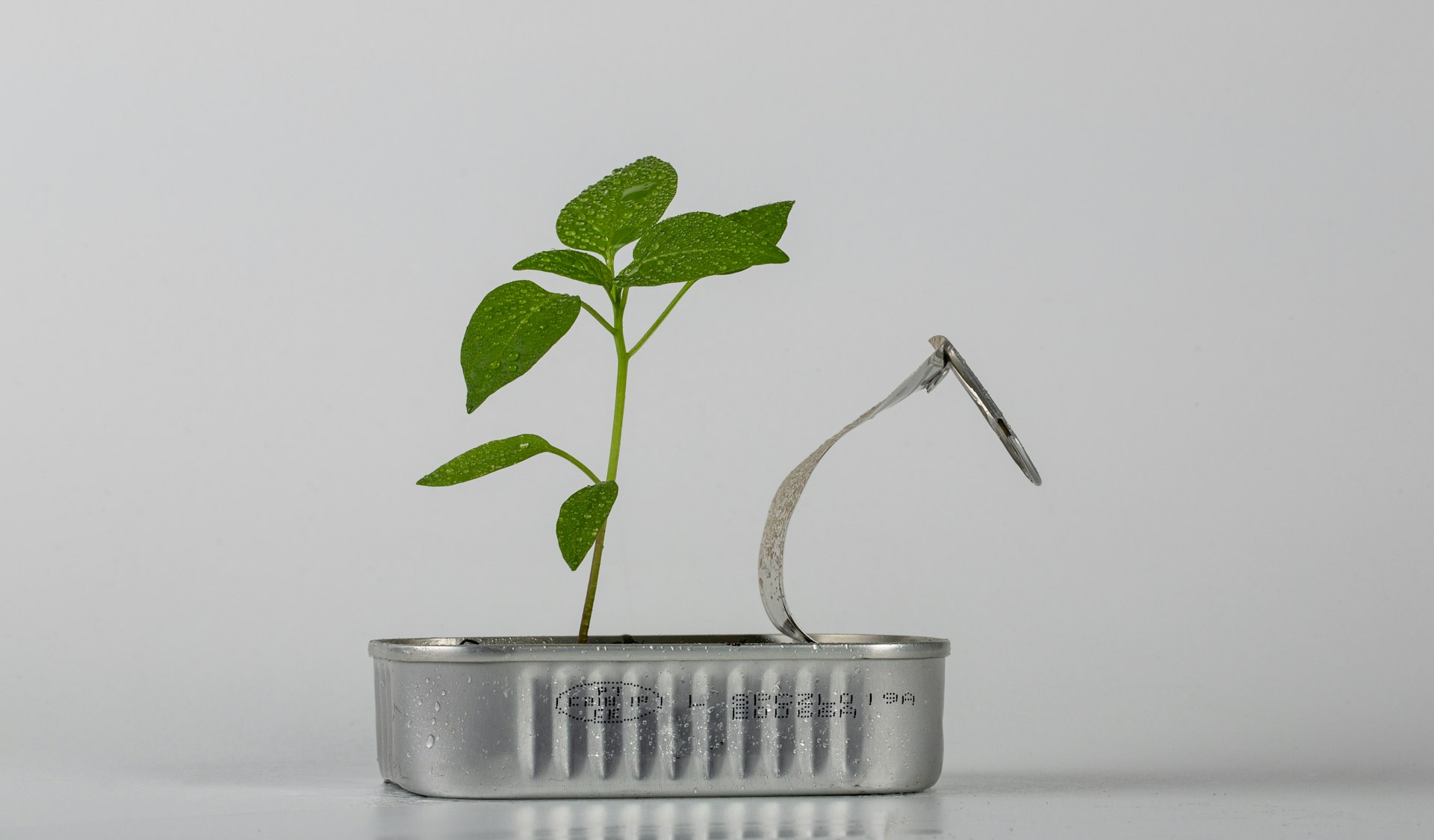 Unlocking Growth: How Marketing Automation Transforms Lead Nurturing Funnels