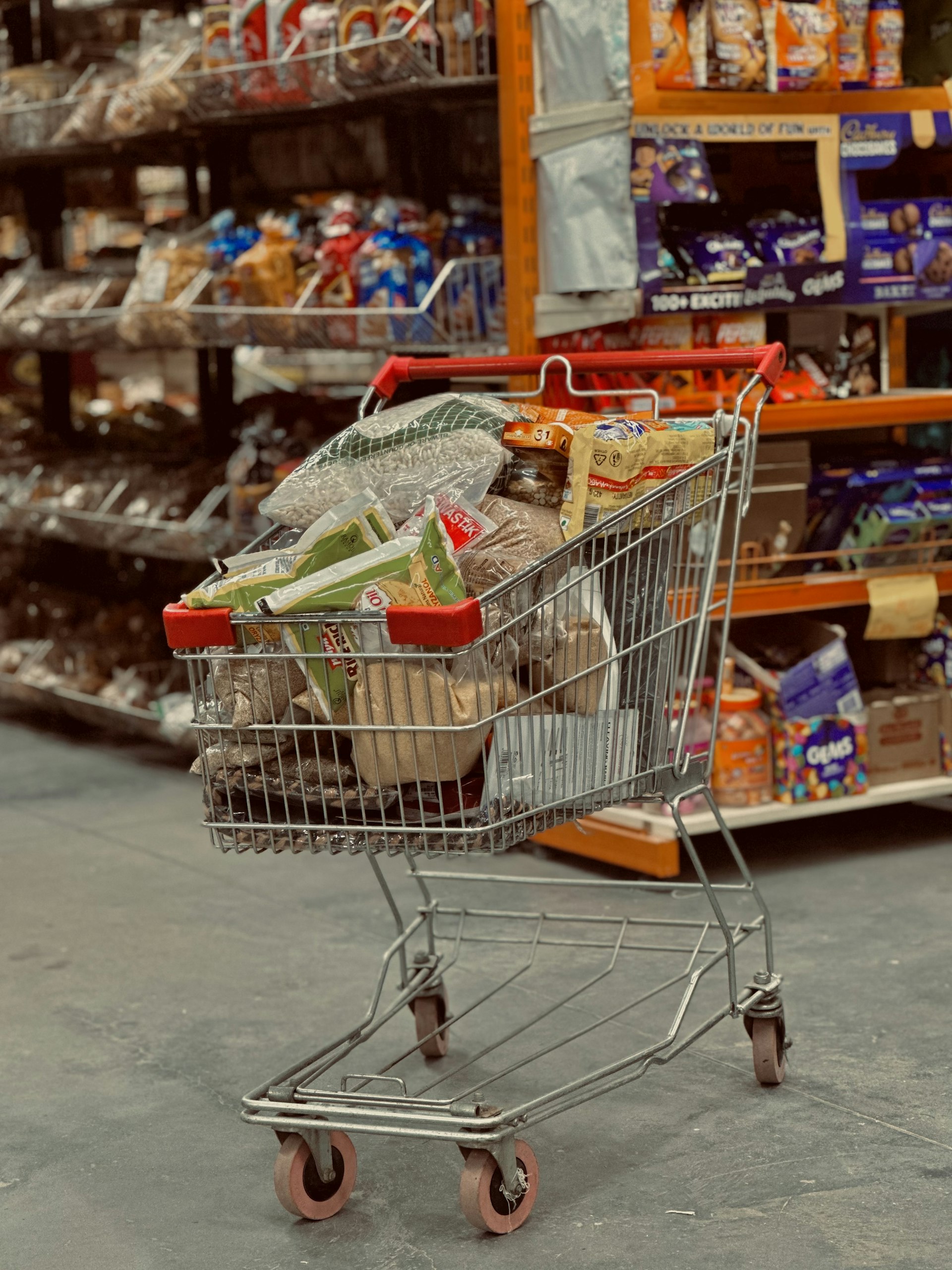 Practical Pathways: Making Ethical Lifestyle Choices in Modern Consumerism
