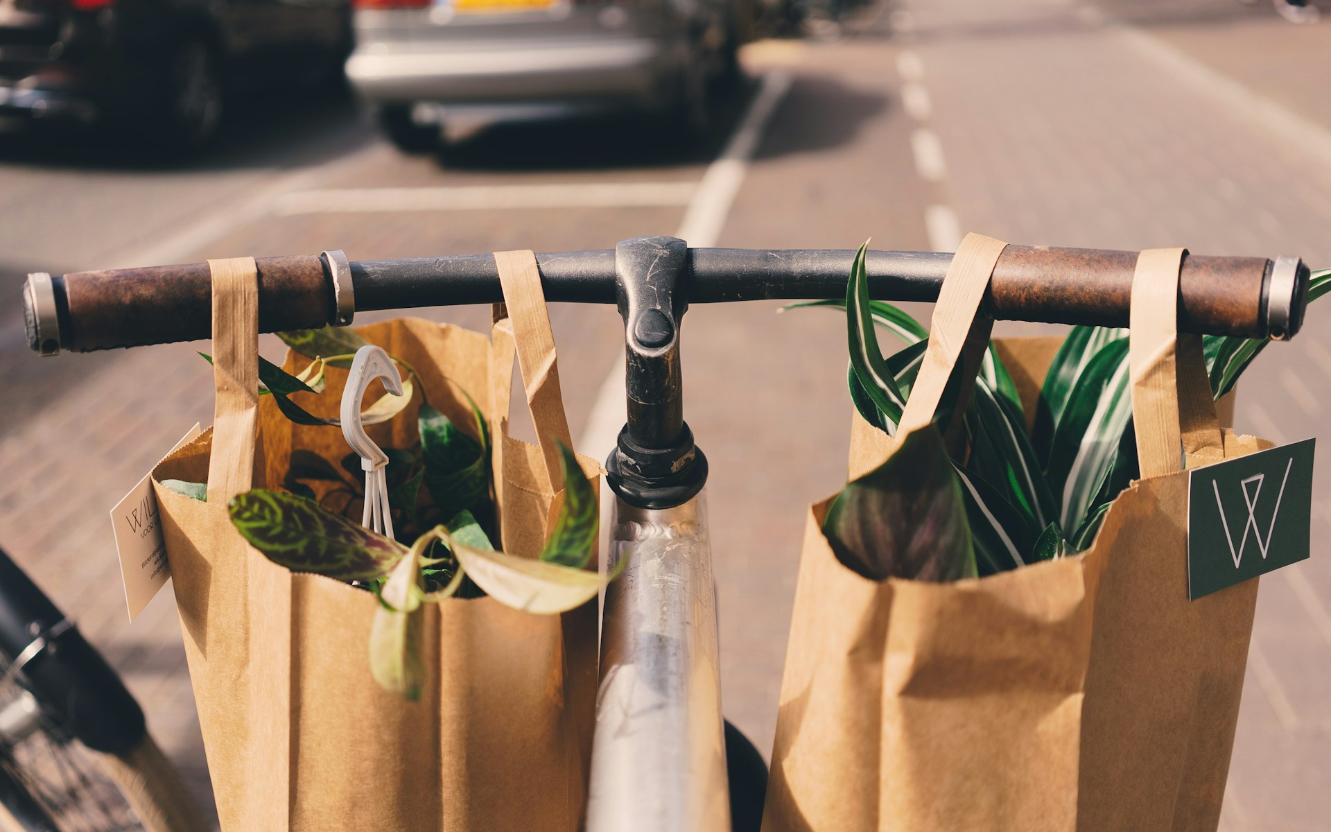 How Sustainability Trends Are Transforming Consumer Marketing in 2025
